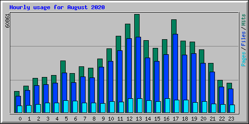 Hourly usage for August 2020