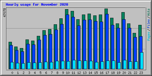 Hourly usage for November 2020