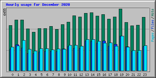Hourly usage for December 2020