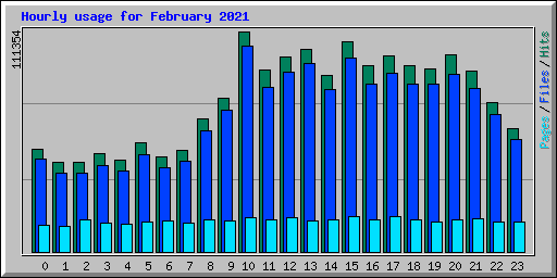 Hourly usage for February 2021