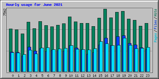 Hourly usage for June 2021