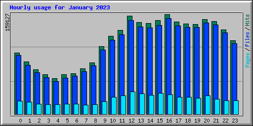 Hourly usage for January 2023