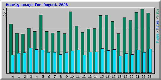 Hourly usage for August 2023
