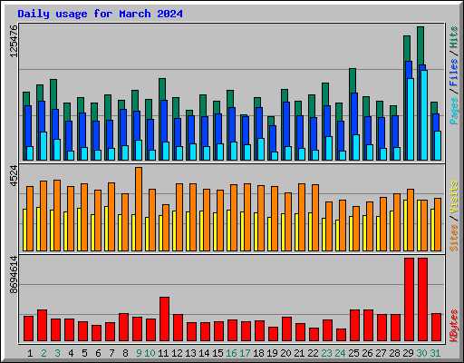 Daily usage for March 2024