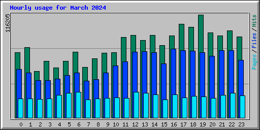 Hourly usage for March 2024
