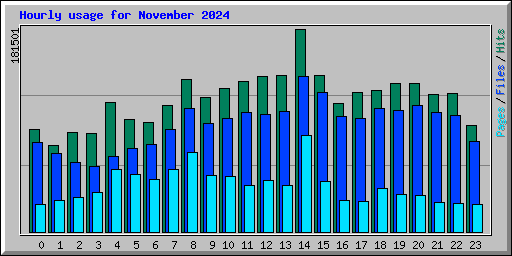 Hourly usage for November 2024
