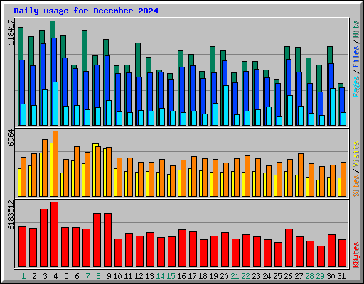 Daily usage for December 2024