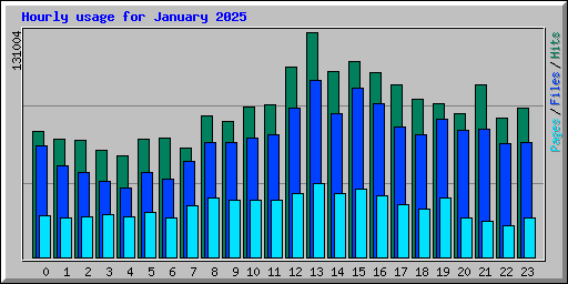 Hourly usage for January 2025