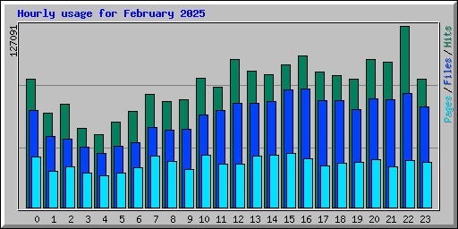 Hourly usage for February 2025