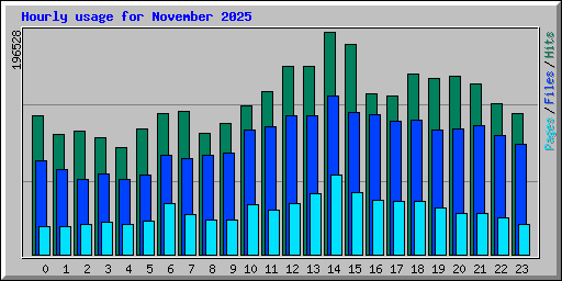 Hourly usage for November 2025